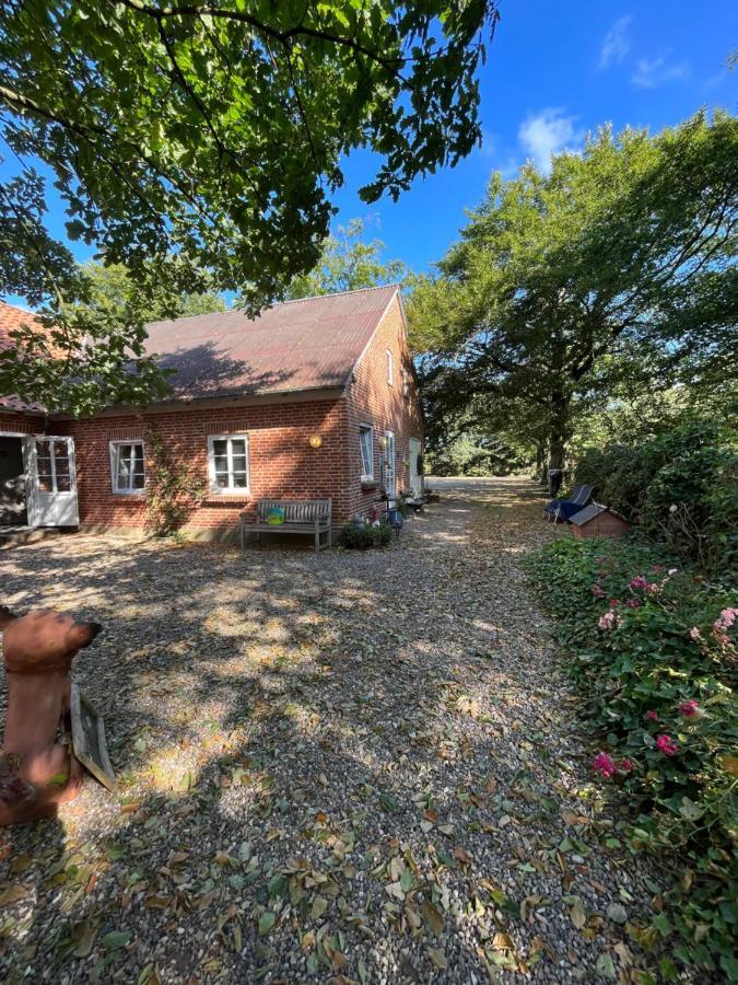 Familiehuis Boysen Bed&Breakfast Рибе Екстериор снимка